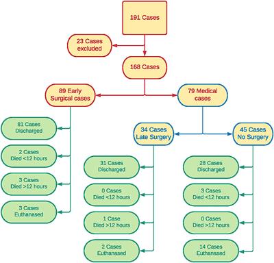 Outcomes and Blood Product Use in 89 Surgically Managed and 79 Medically Managed Cases of Acute Spontaneous Hemoperitoneum in the Dog